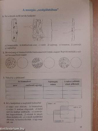 Biológia munkafüzet 8.