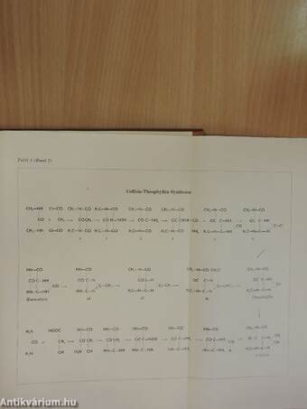 Entwicklung und Chemie der Heilmittel I-III.