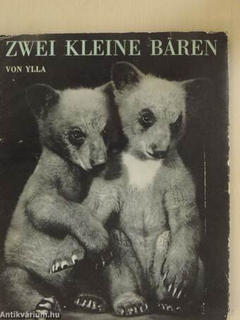 Zwei kleine Bären