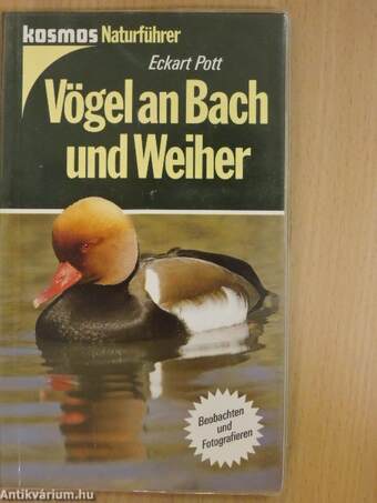 Vögel an Bach und Weiher