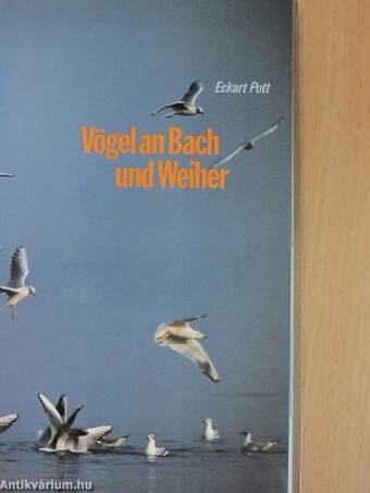 Vögel an Bach und Weiher