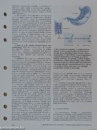 Orvostudomány 1998-2002. (vegyes számok) (12 db)