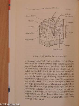 Az egészséges bőr titka