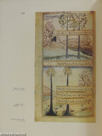 Miniatures of Babur-Nama