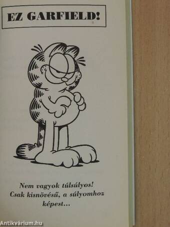 Garfield szakállas vicceinek gyűjteménye