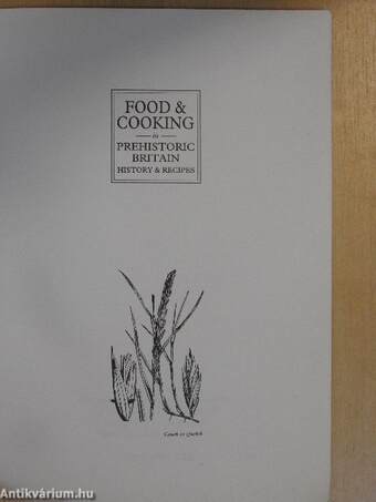 Food & Cooking in Prehistoric Britain