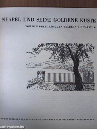 Neapel und seine goldene Küste