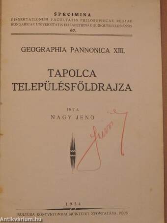 Tapolca településföldrajza