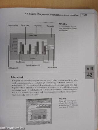 Microsoft Office 2000 III.