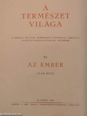 Az ember I. (töredék)