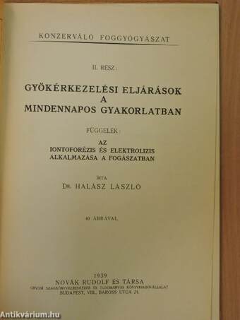 Gyökérkezelési eljárások a mindennapos gyakorlatban