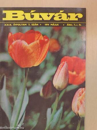 Búvár 1974. május