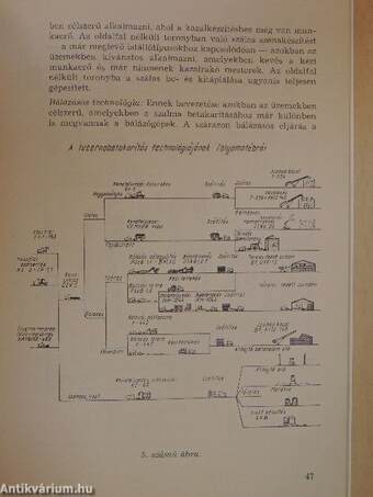 A magyar szarvasmarhatenyésztés fejlesztésének komplex végrehajtási programja