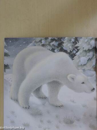 The Snow Bear