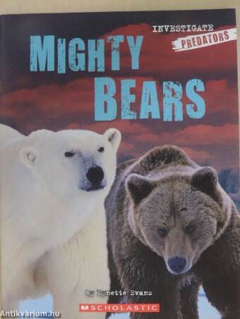 Mighty Bears