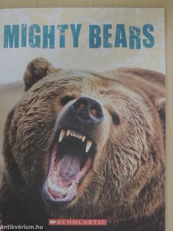 Mighty Bears