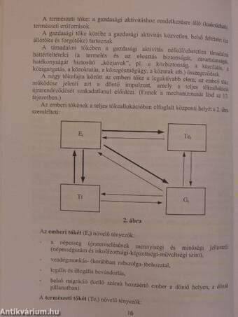 Bevezetés az emberi erőforrások elméletébe