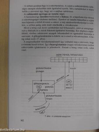 Kórtani alapismeretek