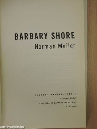 Barbary Shore