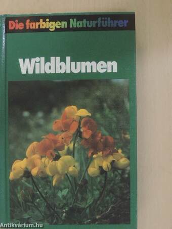 Wildblumen