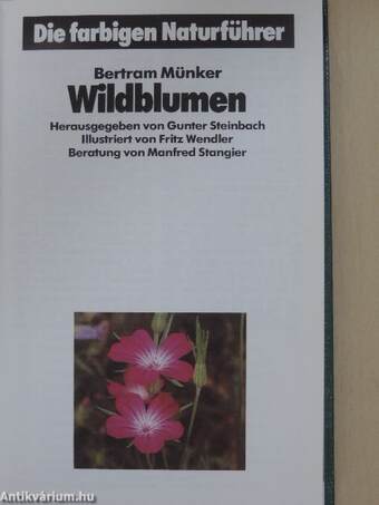 Wildblumen