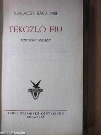 Tékozló fiu