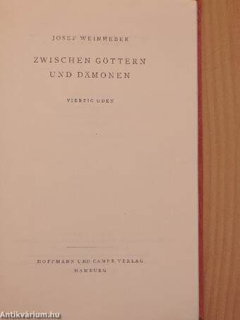 Zwischen Göttern und Dämonen