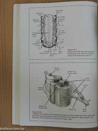 Barr's The Human Nervous System - CD-vel