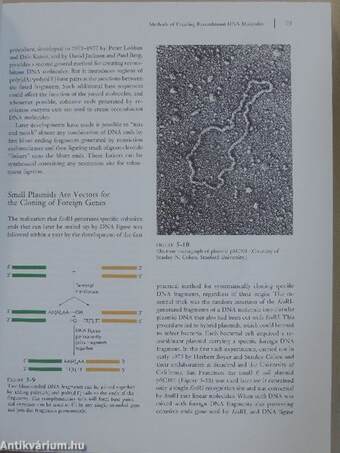 Recombinant DNA