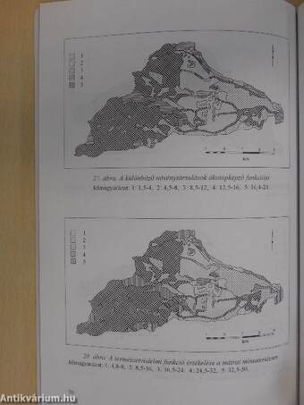 A geoökológiai térképezés elmélete és gyakorlata