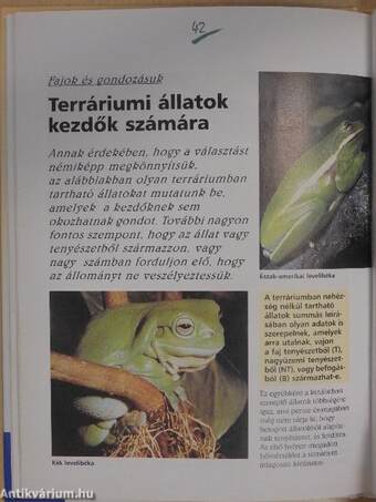 Terráriumi állatok tartása és gondozása