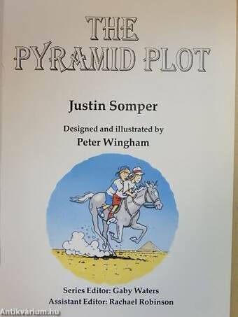 The Pyramid Plot