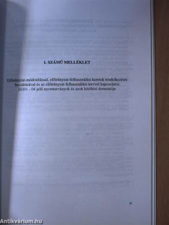 A Magyar Államkincstár 1996. évben alkalmazott előirányzatkezelési és pénzátutalási mechanizmusa, az új finanszírozási rendszer alkalmazásának egyes gyakorlati kérdései