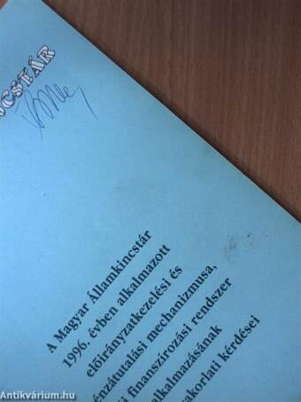 A Magyar Államkincstár 1996. évben alkalmazott előirányzatkezelési és pénzátutalási mechanizmusa, az új finanszírozási rendszer alkalmazásának egyes gyakorlati kérdései