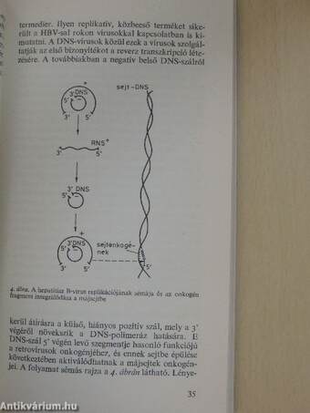 A kötőszövet patológiás szerkezetváltozásai arteriosclerosisban