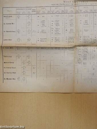 A M. Kir. Tanárképző Intézet Gyakorló Főgymnasiumának Értesitője az 1872/3-79/80. évi időszakról