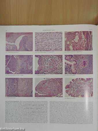 Colour Atlas of Histopathology