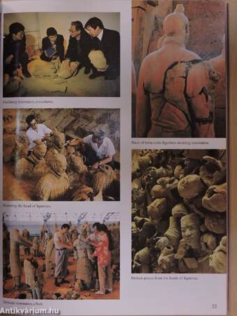 Terra Cotta Warriors