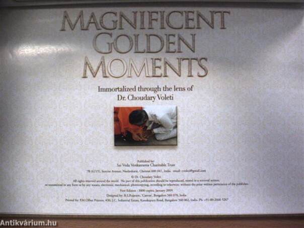 Magnificent Golden Moments