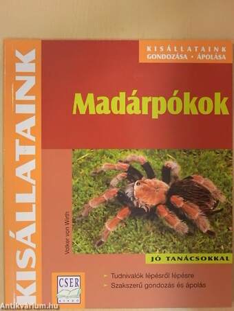 Madárpókok