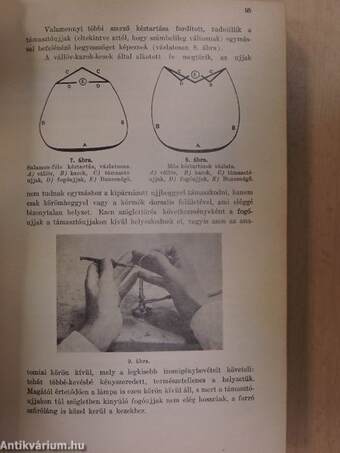 Fogorvosi Szemle 1932. január-december