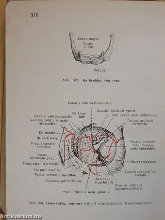 Taschenbuch der Anatomie I-III.