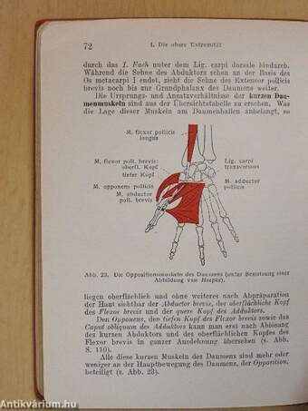 Taschenbuch der Anatomie I-III.