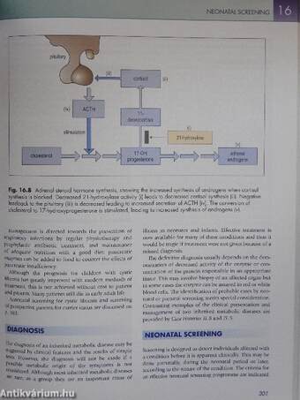 Clinical Chemistry