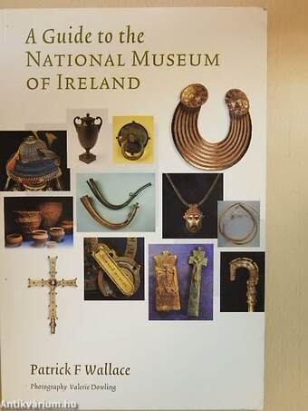 A Guide to the National Museum of Ireland