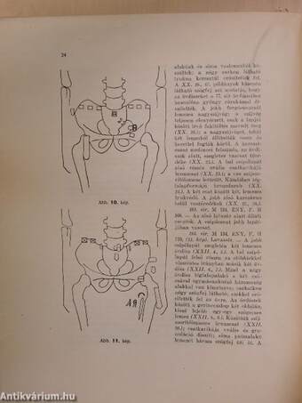 Dolgozatok a M. Kir. Horthy Miklós-Tudományegyetem Régiségtudományi Intézetéből 1943