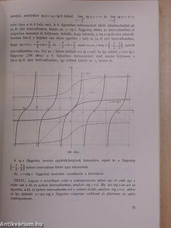 Bevezetés a matematikai analízisbe II. (töredék)