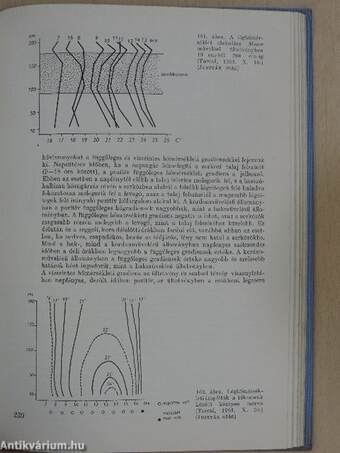 Szőlőtermesztés I.