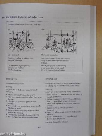 The Heinemann English Grammar