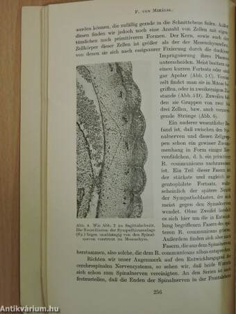 Dolgozatok a budapesti kir. m. Pázmány Péter-Tudományegyetem Anatomiai és a szegedi m. kir. Ferencz József-Tudományegyetem Anatomiai és Szövettani Intézetéből VII.